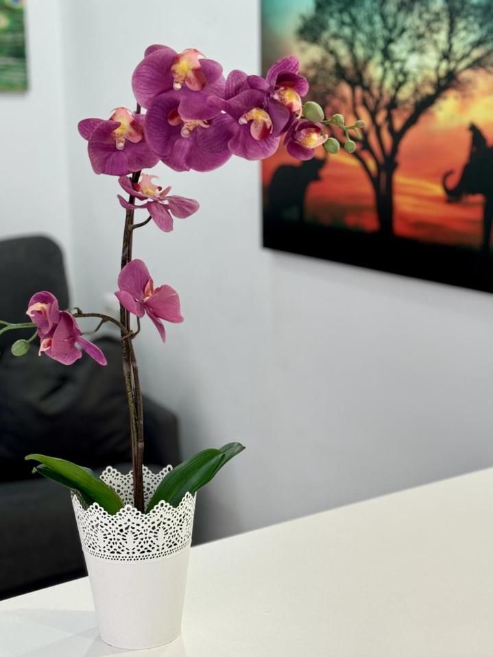 San Eugenio Charming Renovated Apartment Tenerife Адехе Екстериор снимка