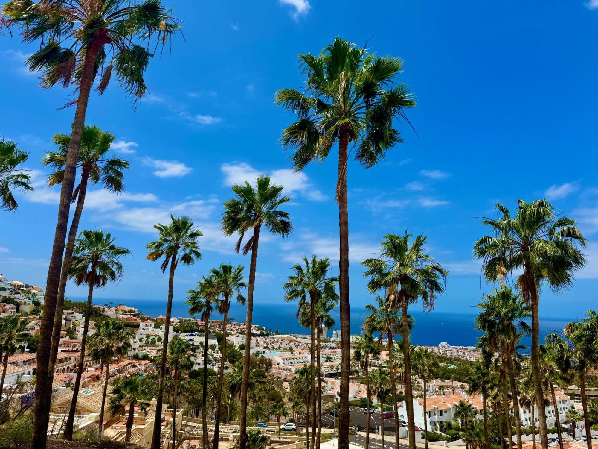 San Eugenio Charming Renovated Apartment Tenerife Адехе Екстериор снимка