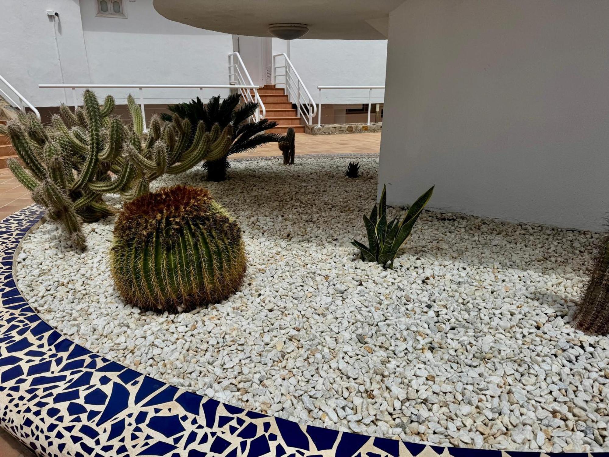 San Eugenio Charming Renovated Apartment Tenerife Адехе Екстериор снимка